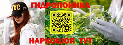 прущие крисы Кимры
